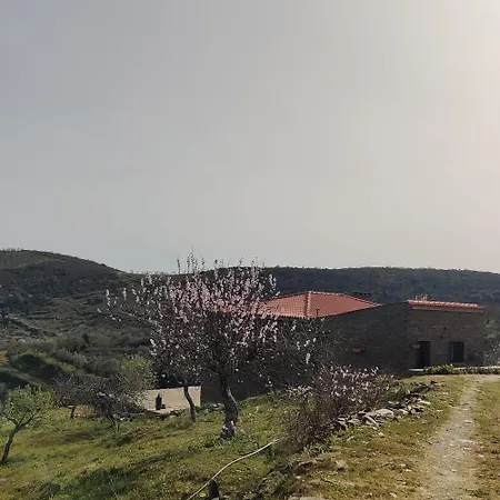 Eira Da Fraga *